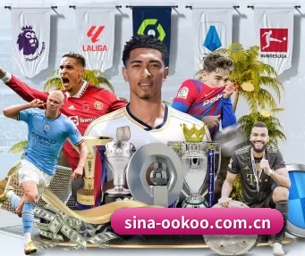 sina-ookoo.com.cn APP